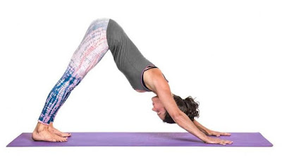 downward facing dog pose  , yoga for beginners