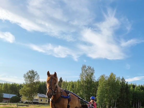 Kadonneen motivaation metsästys