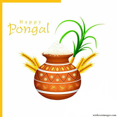 Greetings For Happy Pongal