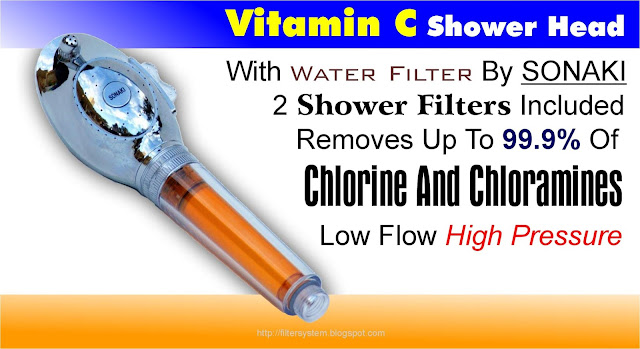 Vitamin C Shower Filter