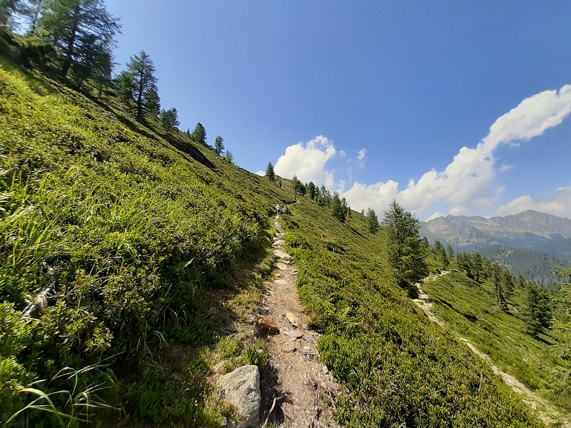 Salita verso Cima Socede, 2173 m slm