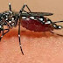 Waspadai Virus Zika
