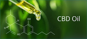 CBD Oil Organik Kenevir Yağı Satın Al