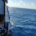Terobos Wilayah RI 5 Nm, KRI Kerambit-627 Amankan Kapal Vietnam Diduga Curi Ikan 2 Ton