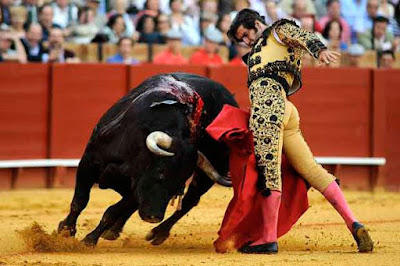 ¿A los toros les gusta el color rojo?