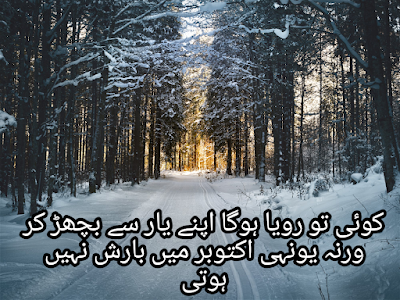 Winter Quotes - Winter Poetry in Urdu