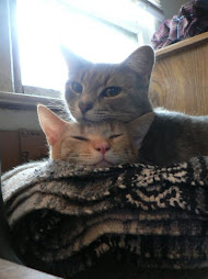 Lily & Astro