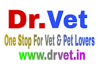 Scope Of Veterinarian