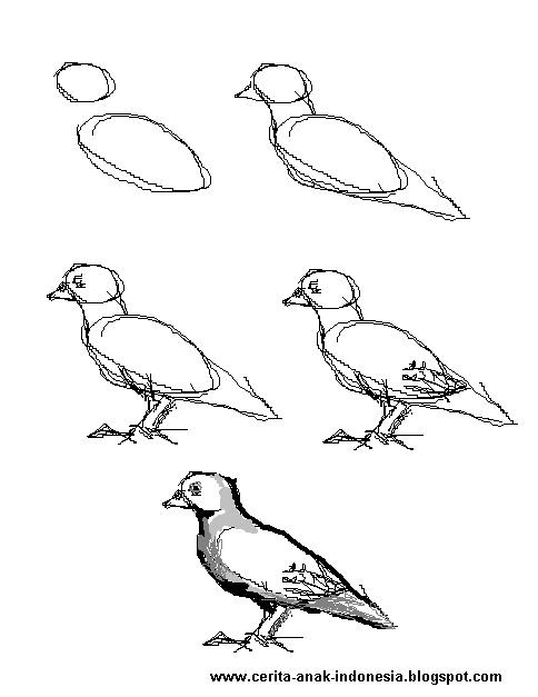 CARA MENGGAMBAR BURUNG 