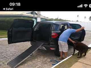 rampa para cão subir em veículo