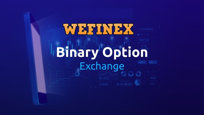 Wefinex là gì? Hướng dẫn kiếm tiền 100$ /ngày với Wefinex