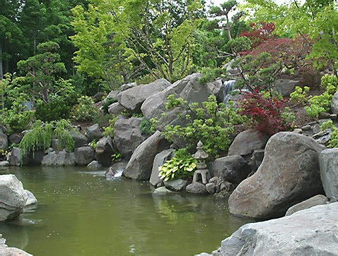 kurisu garden pond design new york