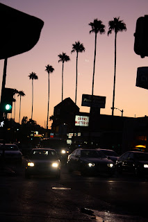 sunset view in palm trees