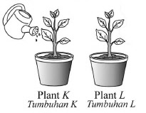 Dunia Sains: Latihan Soalan Objektif