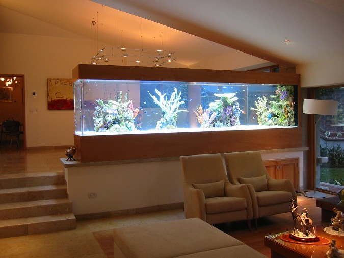 Design Rumah Idaman 10 Model Partisi Ruang Aquarium Terbaik