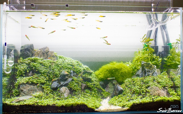 ミスト式 ミスト式立ち上げから注水までまとめ 19年7月改訂 Nature Aquarium Fan