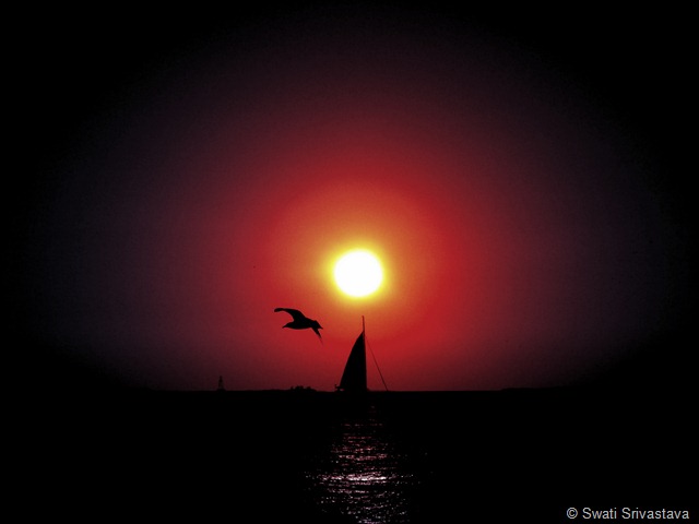 Sun_8