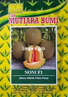 Melon, Benih Melon, Bibit Melon, Benih Melon Noni, Bibit Melon Noni, Melon Orange Noni, Rock Melon Noni, Buah Melon, Melon Orange, Antivirus Terbaik, Mutiara Bumi, Prabu Agro Mandiri, Toko Pertanian, Toko Pertanian Terdekat, Lmga Agro