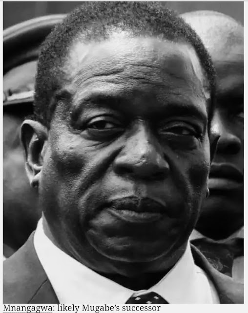 Zimbabwe: Mnangagwa the Crocodile likely Mugabe’s successor