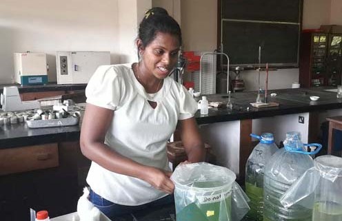 Ruhunu Campus Makes diesel Using algae and coconut scraps