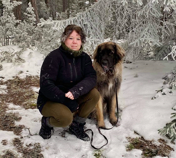 leonberger frost