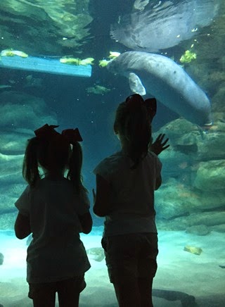 IMG_0143 IMG_0143