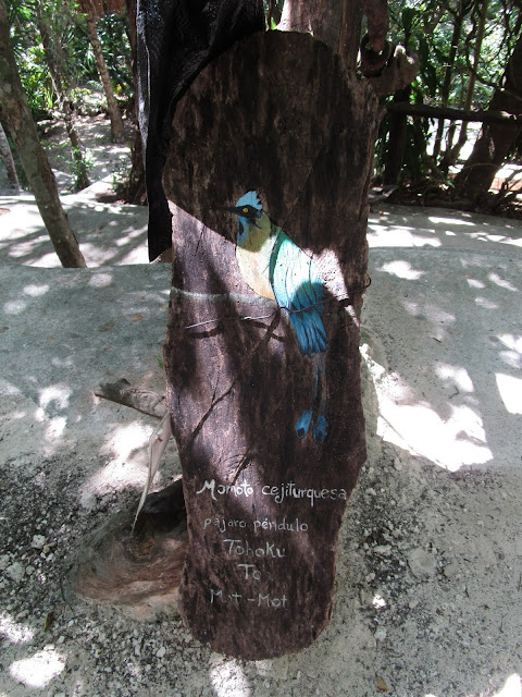 Pueblo Ecológico Sacbe Playa del Carmen México