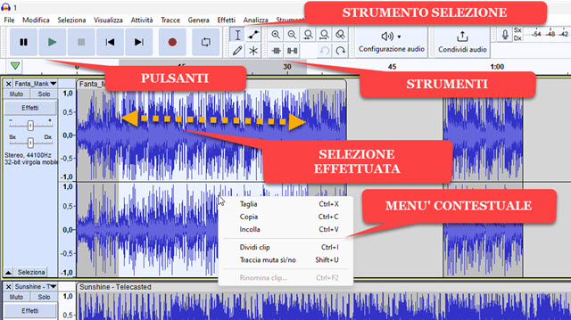 selezione audacity