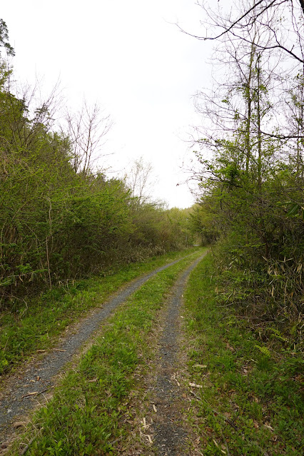 果樹園へ向かう山道