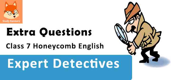 Chapter 6 Expert Detectives Important Questions Class 7 Honeycomb English