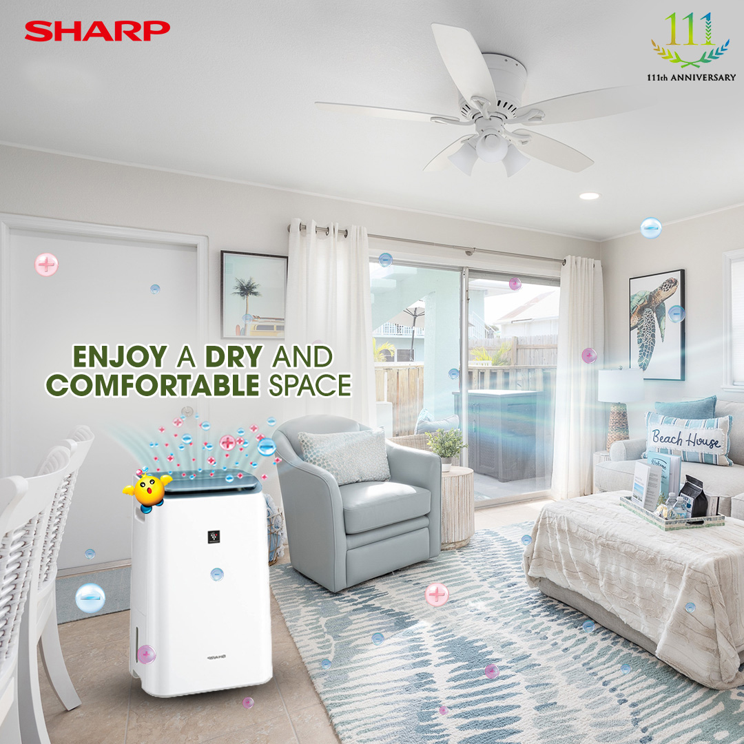 mold growth, Sharp Plasmacluster Air purifier with Dehumidifier, improve air quality, home, cozy home, lifestyle, comfortable home, healthy home, safe home, prevent mold growth, humidity, allergens, Plasmacluster Ion technology
