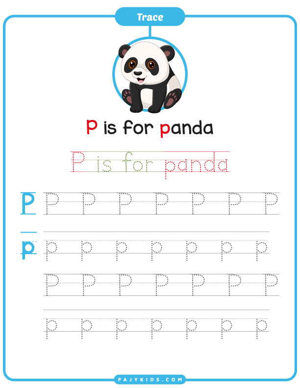 كتابة حرف p - طريقة كتابة حرف p - كتابة حرف p على السطر - كيفية كتابة حرف p مع كلمة (Panda)