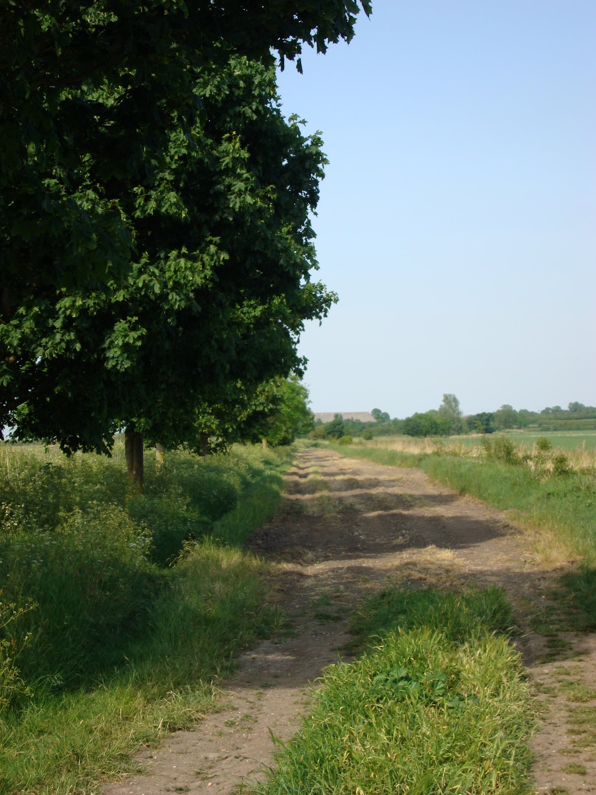 DSC08106.JPG