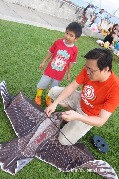 Kite2