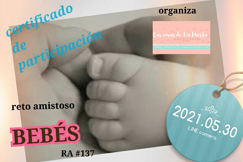Certificado R.A. 137
