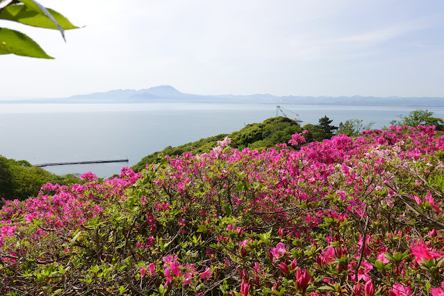 島根県松江市美保関町美保関 五本松公園からの眺望