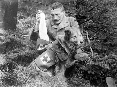 Bandages retrieved from the kit of a British Dog, ca. 1915.