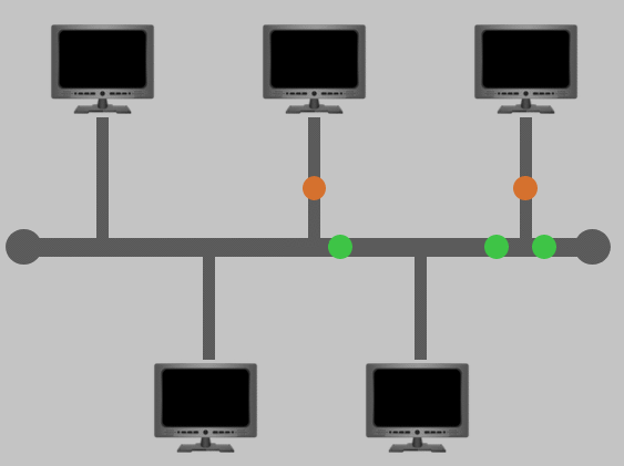 Master Local Area Network (LAN) Topologies In Just A Few Hours!