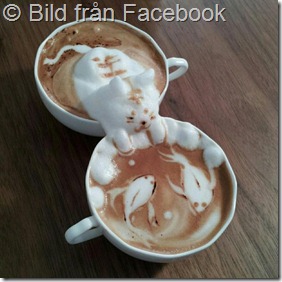 latte