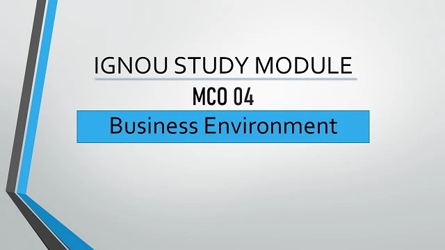 MCO 4 Business Environment