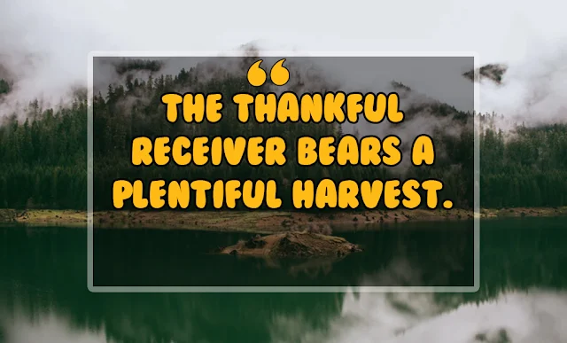 Quotes about Thanksgiving Quotes