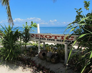 Malapascua diving, Philippines diving, scuba diving philippines, thresher sharks diving