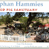 New Little Orphan Hammies Website