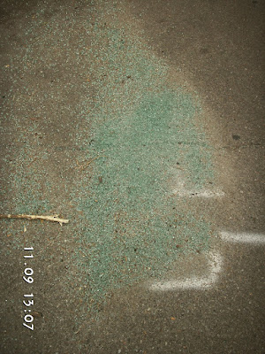 Rogers Park