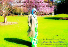 SALAM AIDILFITRI dr perantauan