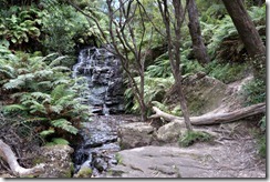 Around Wentworth Falls, Blue Mountains