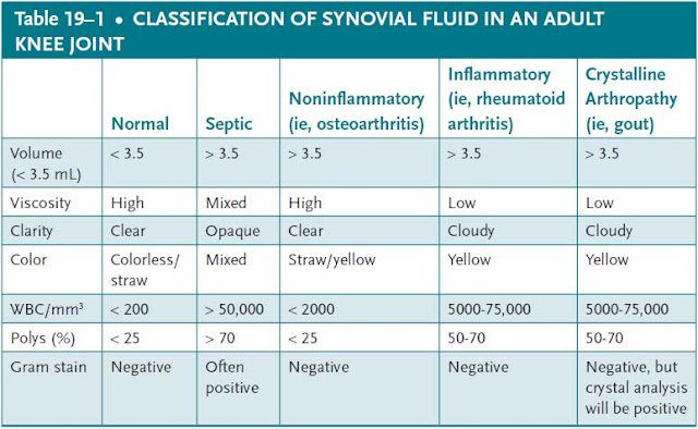 classification of synovial fluid in an adult knee joint