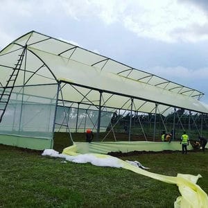 Greenhouse Construction In Kenya