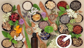 Obat Herbal Kuno