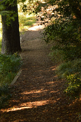 hiking trail at Maymont, #RVA